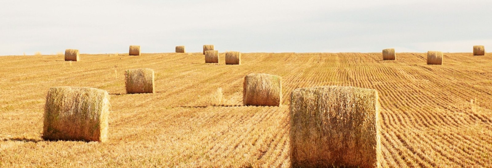 Agricultural Wrapping Solutions
